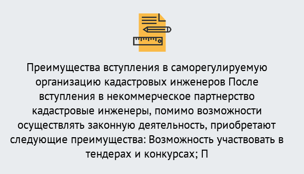 Почему нужно обратиться к нам? Учалы Что дает допуск СРО кадастровых инженеров?