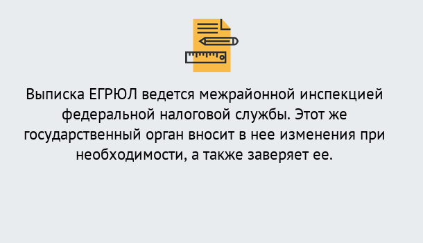 Почему нужно обратиться к нам? Учалы Выписка ЕГРЮЛ в Учалы ?