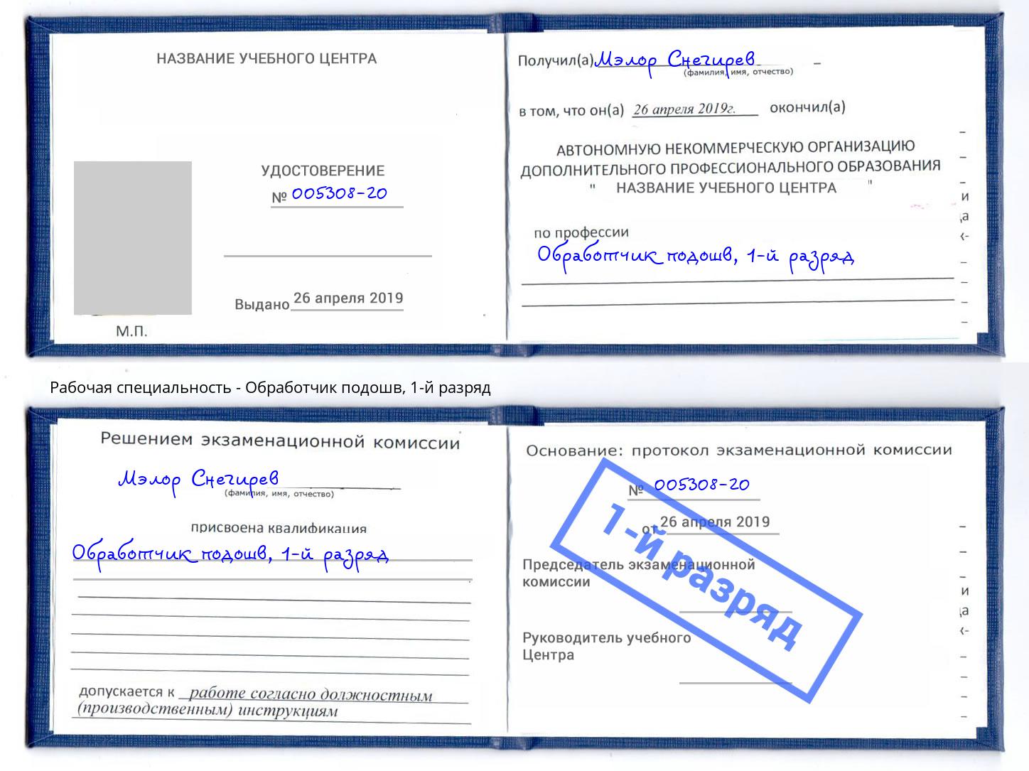 корочка 1-й разряд Обработчик подошв Учалы